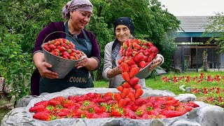 Mix of fresh strawberry compotes and delicious recipes from the village