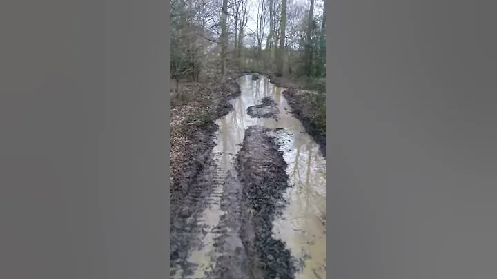 tracked dumper me and boy