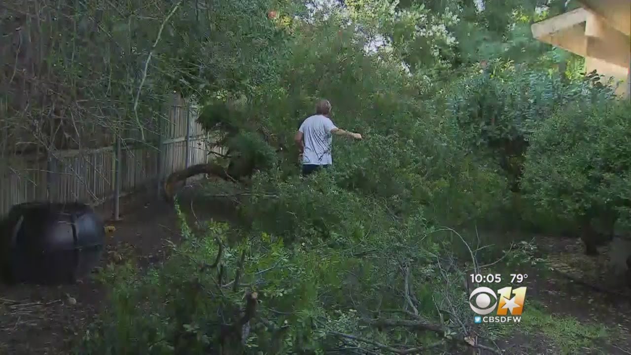 Residents Clean Up After Night Of Storms, Power Outages