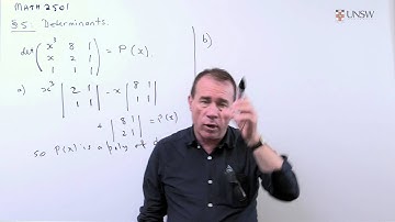 Linear Algebra 11: Determinants and polynomials (Ch5 Pr1)