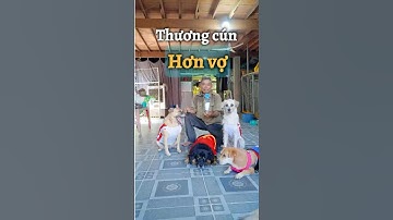 Gia đình cún thông minh và tài năng nhất Việt Nam