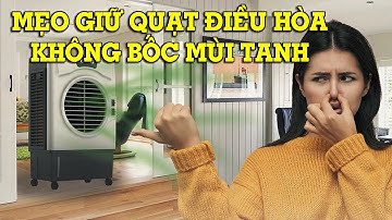 Quạt Điều Hòa Bị Hôi Tanh? Xem Ngay Cách Xử Lý Dứt Điểm!