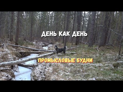 От зимовья к