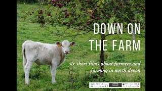 Down on the Farm Trailer