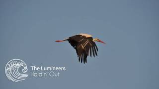 Video thumbnail of "The Lumineers - Holdin' Out (Storks Soundtrack)"