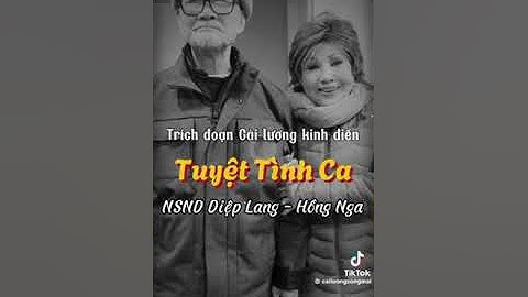 Trích đoạn Tuyệt Tình Ca (Ông Cò quận 9) - NSND Diệp Lang &. NS Hồng Nga #cailuong #nsnddieplang