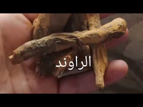 الراوند للتقيؤ والاسهال الراقي مغربي مراد يوتيوب
