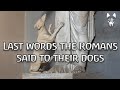 5 heartbreaking roman dog epitaphs  narrated in english y en espaol