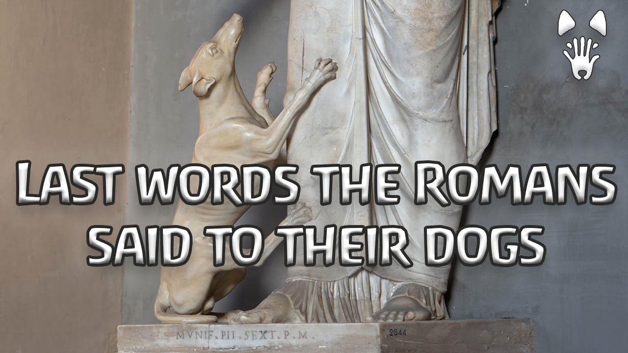 5 Heartbreaking Roman Dog Epitaphs Narrated in English y en Español
