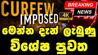 Today Hiru Sinhala sri lanka Here is another special news just received Lanka Updates