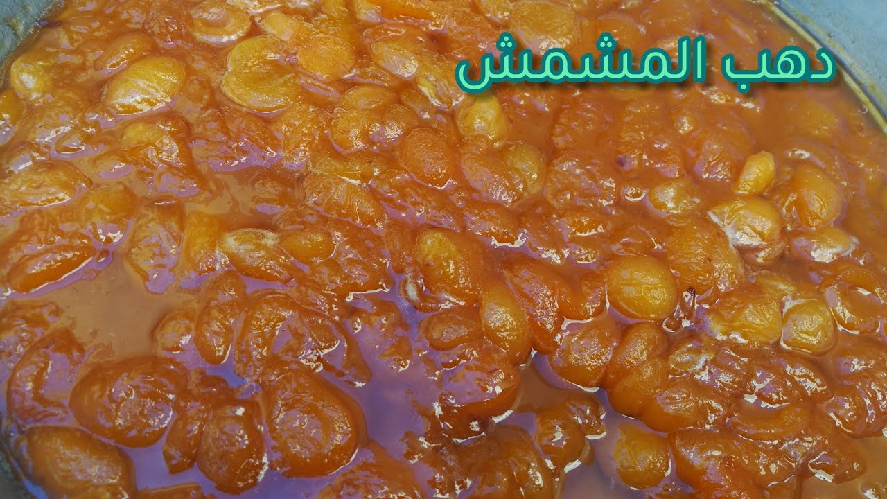 حطي المشمش على الشمس وأدعيلي طريقة مربى المشمش السوري بعدا مافي