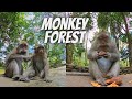 Trip to Monkey Forest UBUD Bali - Ubud attractions - monkey forest ubud
