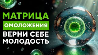 видео: Удаление Энергии СТАРОСТИ - Действует СРАЗУ! | Омоложение и Обновление ОРГАНИЗМА | Исцеление Звуком картинка: Удаление Энергии СТАРОСТИ - Действует СРАЗУ! | Омоложение и Обновление ОРГАНИЗМА | Исцеление Звуком
