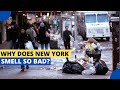 Understanding Why New York Smells