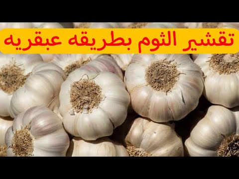 لو عندك اكثر من 20 كيلو ثوم قشريهم في خمس دقايق بدون تعب بطريقه عبقريه مش مكلفه