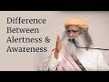 Difference Between Alertness & Awareness | Sadhguru