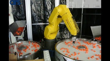 Toys Components Picking Dual FlexiBowl - Flexibowl® & Fanuc Feeding Solution