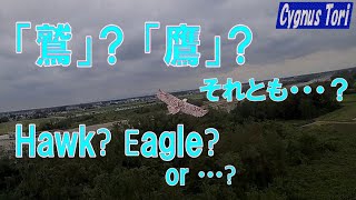 鷲?それとも鷹?レースドローンのカメラが捉えた猛禽類・・かな?(Eagle? Or A Hawk? Birds Of Preys Captured By A Racing Drone Camera?) 鷲?それとも鷹?レースドローンのカメラが捉えた猛禽類・・かな?(Eagle? Or A Hawk? Birds Of Preys Captured By A Racing Drone Camera?)