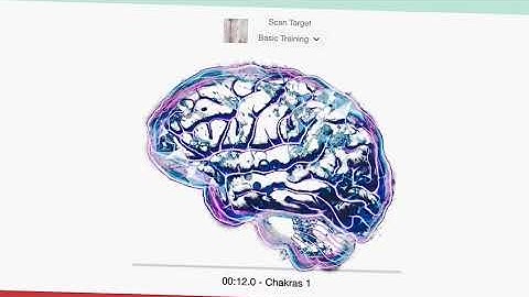 How does AO scan work
