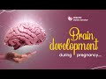 Brain development during pregnancy workshop by garbhsanskar guru app majestic garbh sanskar