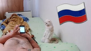 Cat Stands for Russian National Anthem Resimi