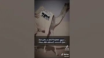 نسهج خططوط الخطر مد هايل ابلنا منزل الححححد الممطرف ففقد رعيناه 