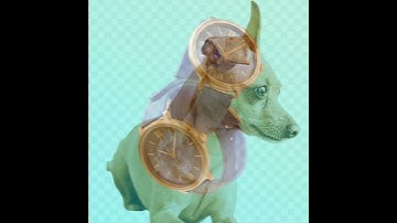 Slazzer: The AI-Powered Solution for Perfect Background Removal