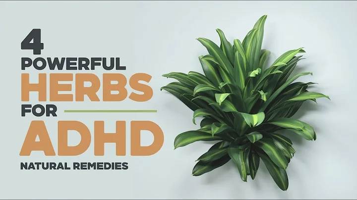 4 Powerful Herbs for ADHD Natural Remedies #adhd #adhdkids #add #automobile #herbs #naturalremedies