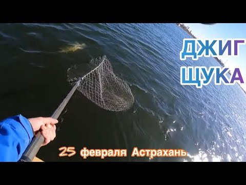 25 февраля 2024 АСТРАХАНЬ. Ловлю ЩУКУ на ДЖИГ. ЩУКИ на каждом забросе. ЩУЧИЙ ЖОР.  Станья