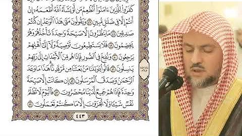 سورة يس كاملة بصوت الشيخ شيرزاد عبد الرحمان طاهر