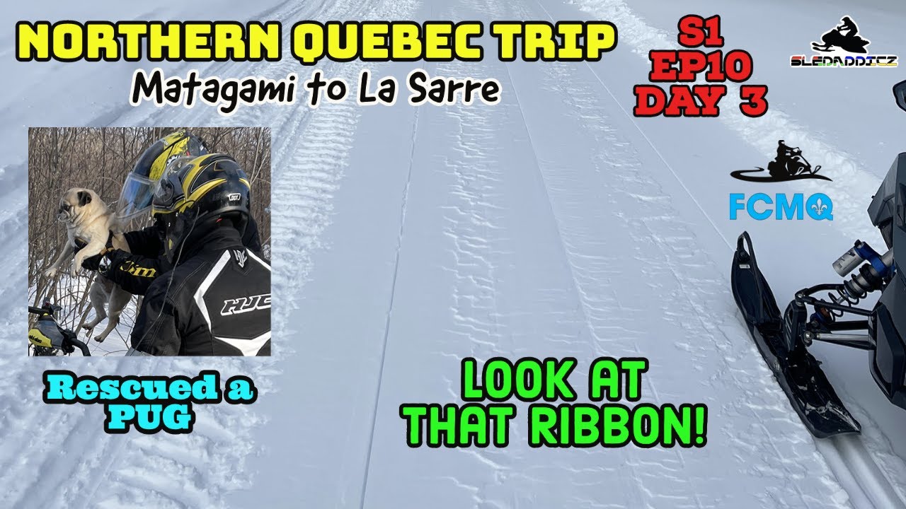 Northern Quebec Trip Day 3 | Matagami to La Sarre | We rescued a dog | SLEDADDICZ are PETADDICZ