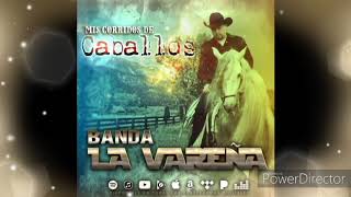 Video thumbnail of "Mi Amigo El Tordillo Banda La Varena 2021"