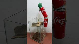 The Best Idea To Make Your Own Mouse Trap At Home #Rattrap #Rat #Mousetrap #Shorts
