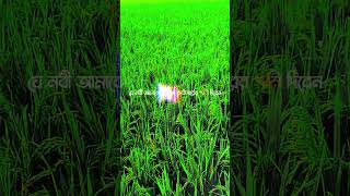 আজীবন যে নবীর কথা শুনলাম #islamicvideo #viral #foryou