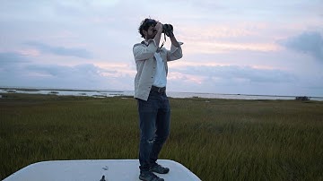 Shorebird Migration | Up Close with the SWAROVSKI OPTIK NL Pure 52