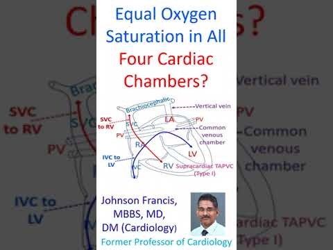 ቪዲዮ: የቀኝ ventricle ኦክስጅን ያለበትን ደም ይይዛል?