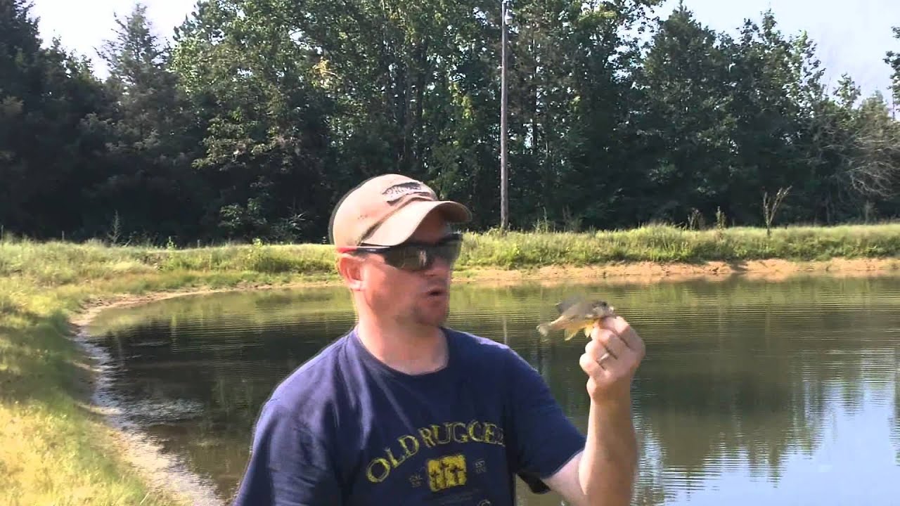 Hobo Hand Fishing Kit YouTube