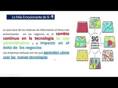 ¿Por Qué Estudiar Sistemas De Información Gerencial?