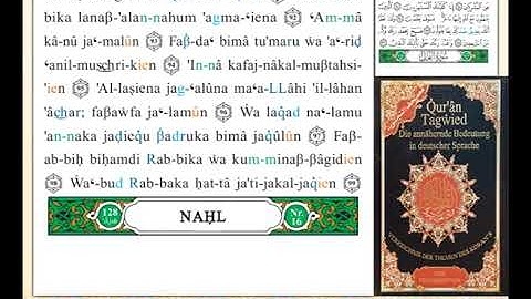 ختمة من مصحف التجويد باللغة الألمانية الصفحة رقم 267