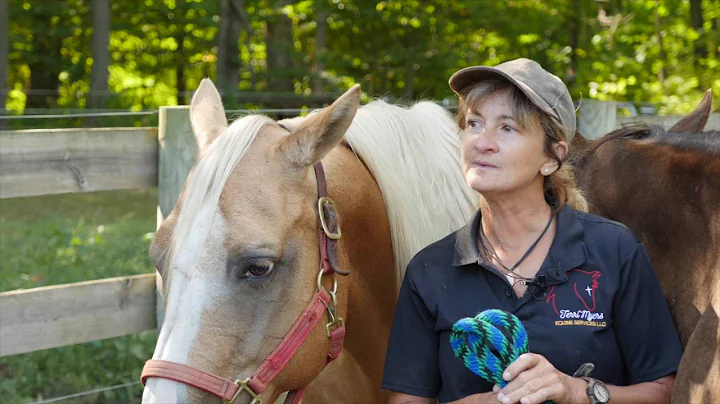 Terri Myers Equine Services LLC