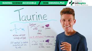 Taurine & its Importance for the Mitochondria