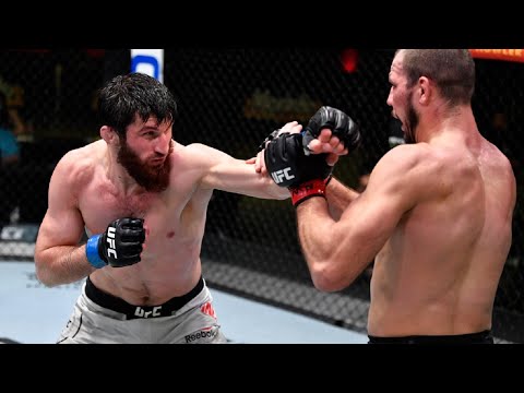 Nikita Krylov vs Magomed Ankalaev fight footage