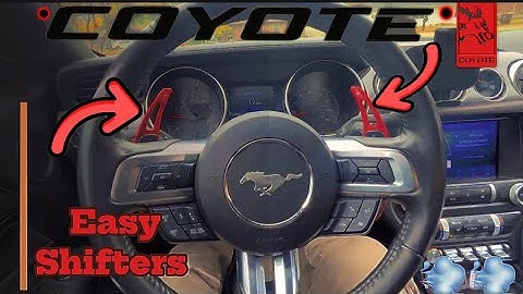 How Paddle Shifters Actually Work (Mustang Tutorial)