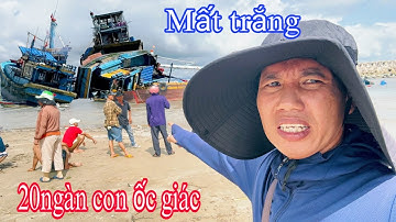 Ontdek de kust na storm 13🚤 LaGi-vissers verliezen tientallen boten door overstromingen Twee bote...