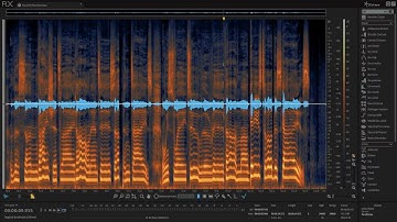 RX 6 | Vocal Editing Overview