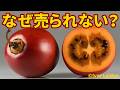 トマトより多く実る栄養豊富なタマリロが日本のスーパーに並ばない理由【解説動画】
