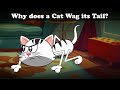 Understanding Animal Behavior and Hypothetical Scenarios