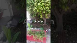 Al Qur'an Surah Hajj Urdu Translation. #quran #quranrecitation #qurantilawat #tilawat #quran