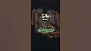 #سورة_النحل#quran #اكسبلور #allah #qurantranslat #duet #حالات_واتس