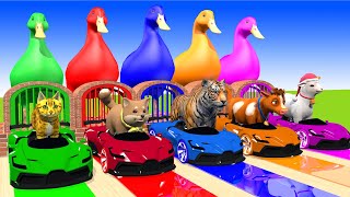 5 Giant Duck, Monkey, dog, chicken, bear, cat, cow, Sheep, Transfiguration funny animal 2023